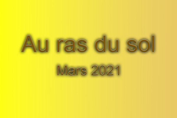 Au ras du sol  -  Mars 2021