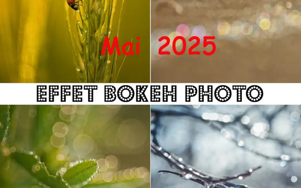 Effet bokeh-Mai  2025