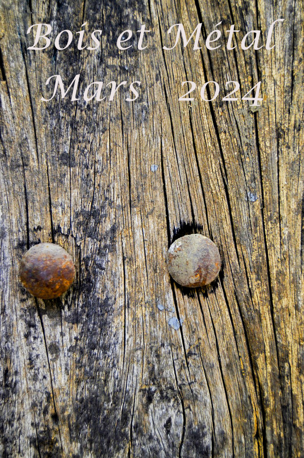 Bois et Métal-Mars  2024