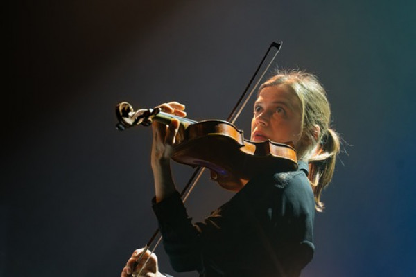 5eme  La violoniste - Didier Lagaert