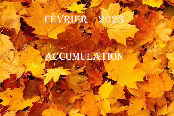 Accumulation - Février 2023