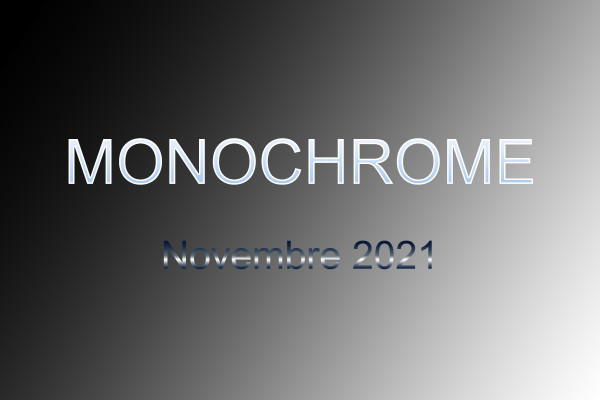 Monochrome  -  Novembre 2021