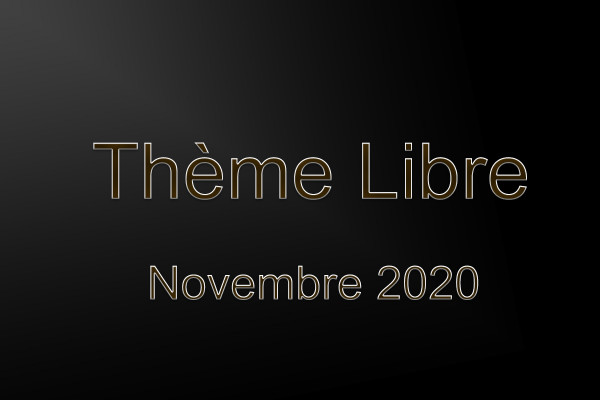 Thème Libre  -  Novembre  2020