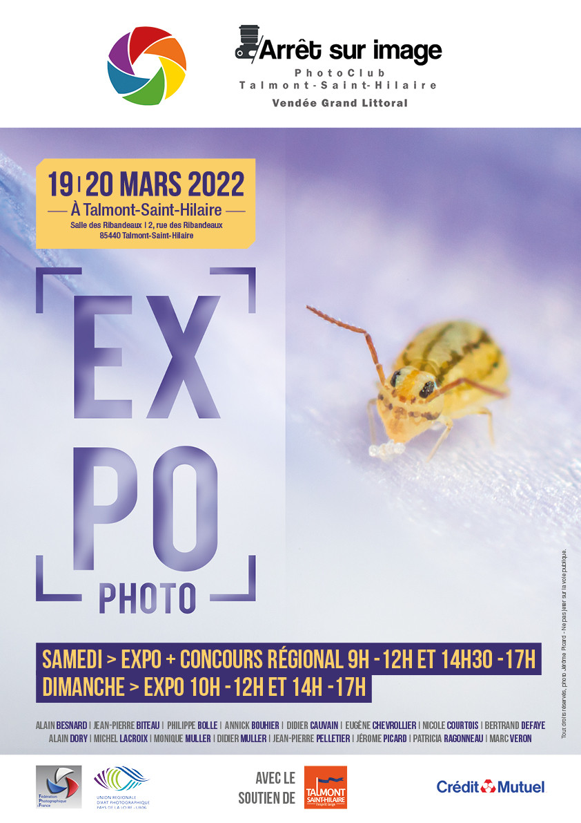 Exposition  2022 "Arrêt sur Image" TALMONT St HILAIRE