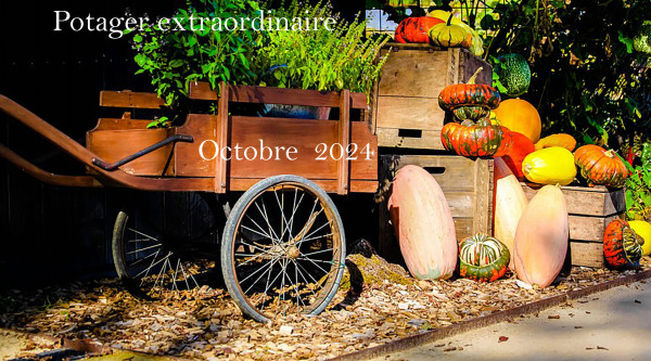 Potager extraordinaire-Octobre 2024