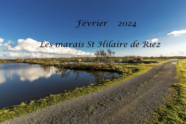 Les marais de St Hilaire-Février 2024