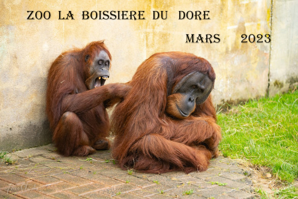 Zoo de la Boissiére